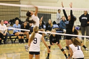 Group of women playing volleyball